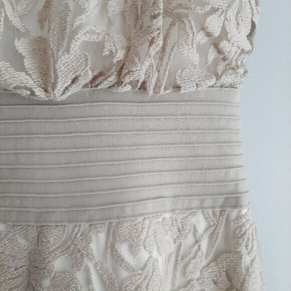 TADASHI SHOJI Embroidered Lace Cap Sleeve Blouson Knee Length Cream Dress Sz 6 - Picture 6 of 15